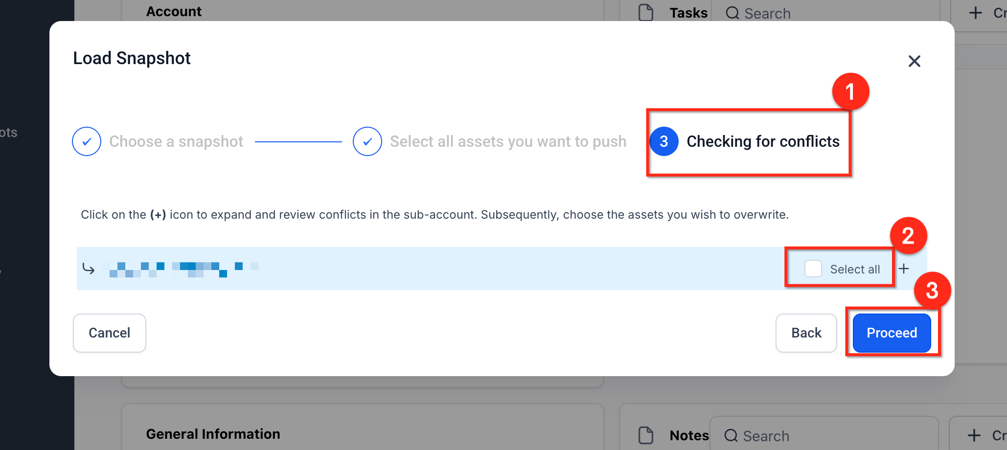 Snapshot load confirmation screen after asset and conflict review