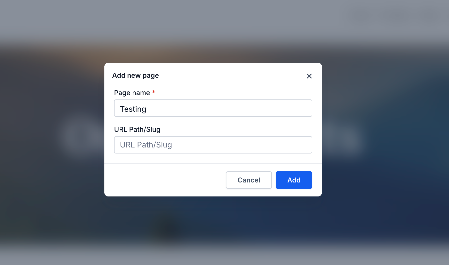 New page configuration fields for page name and URL path